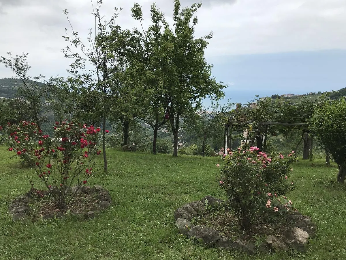 Sea & Nature Villa Hisar Trabzon