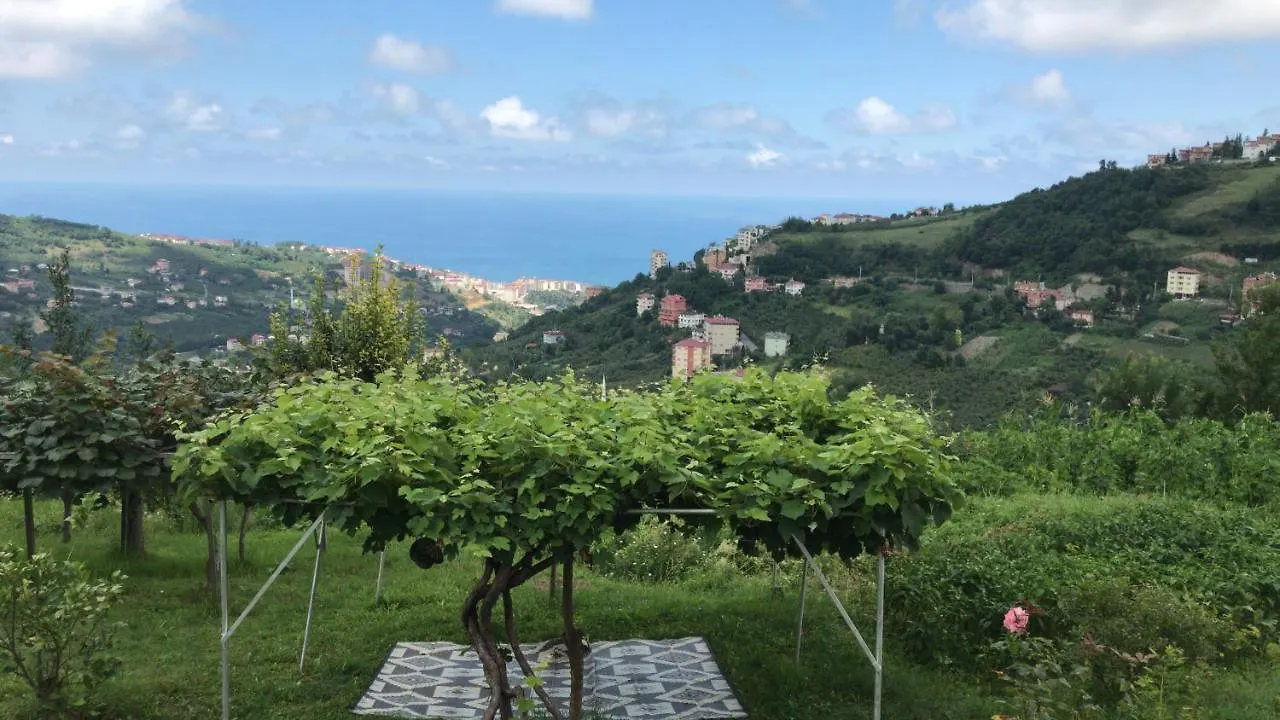 Sea & Nature Villa Hisar Trabzon